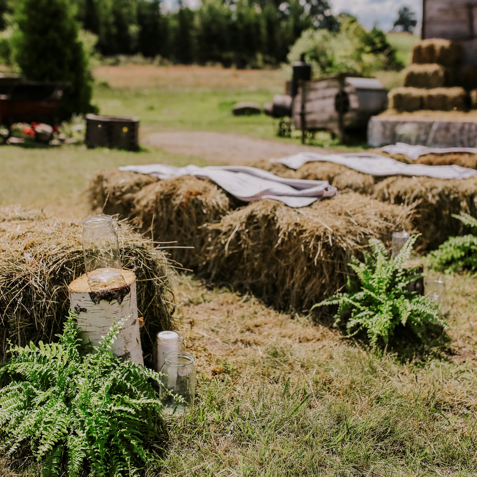 e8171c_4a981c1a9e0847ca845753f1098842f0~mv2_d_3000_2000_s_2.jpg